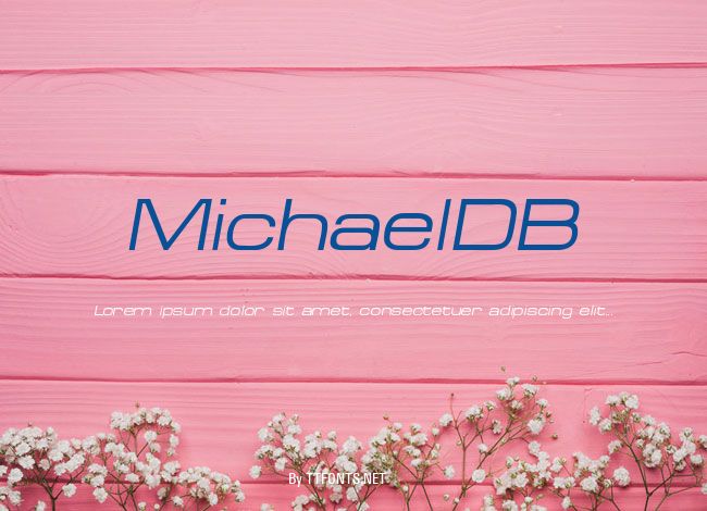 MichaelDB example