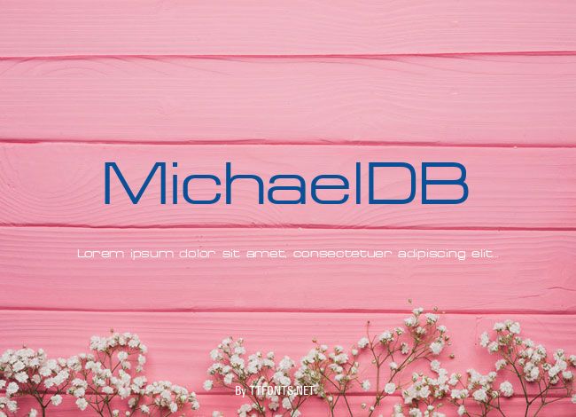 MichaelDB example