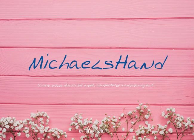 MichaelsHand example