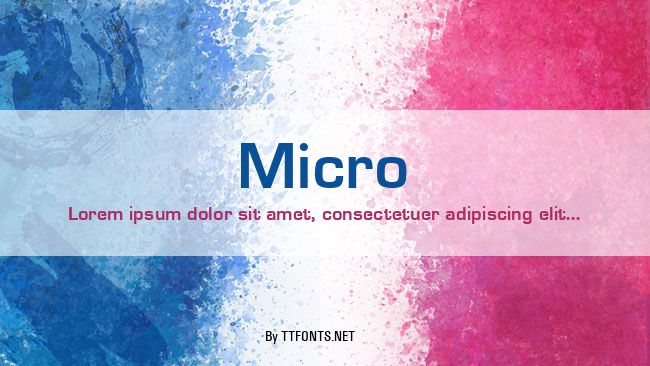 Micro example