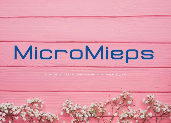 MicroMieps example