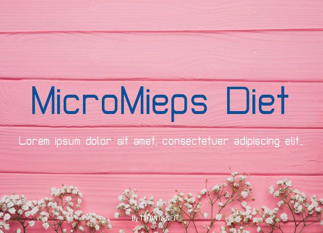 MicroMieps Diet example