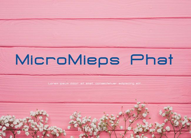 MicroMieps Phat example