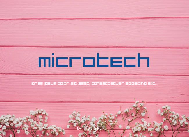 MicroTech example