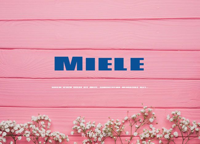 Miele example