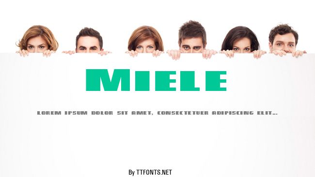 Miele example