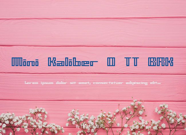 Mini Kaliber O TT BRK example