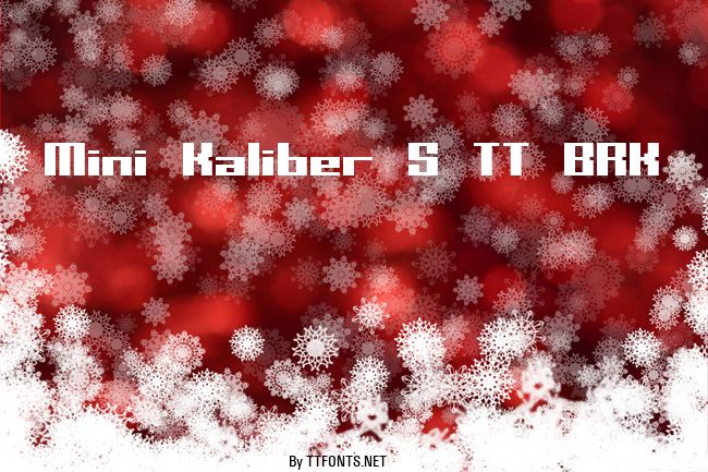Mini Kaliber S TT BRK example