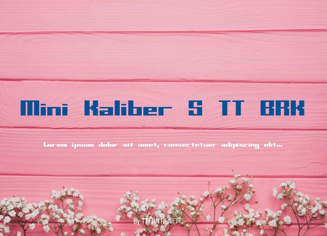 Mini Kaliber S TT BRK example