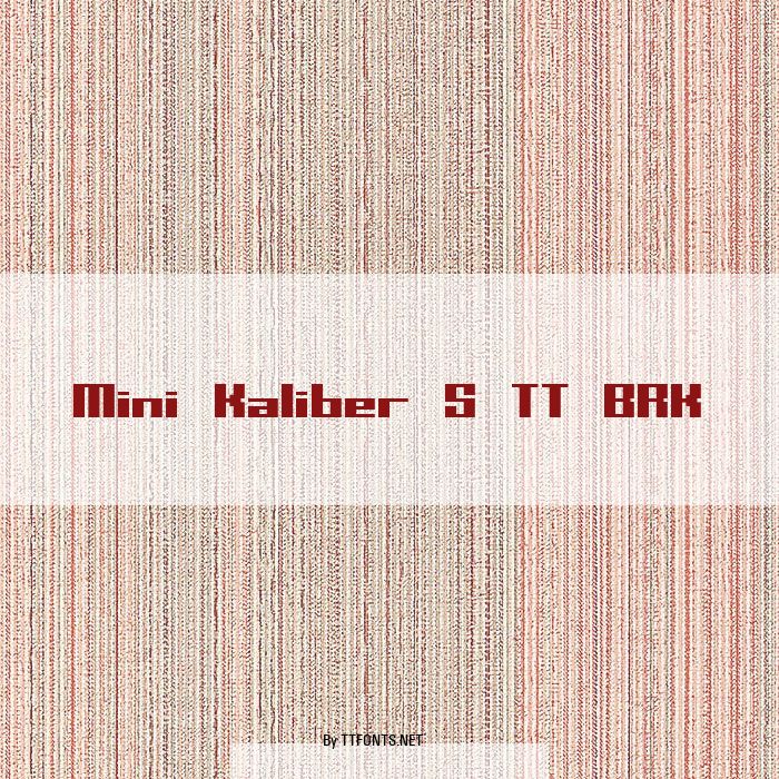 Mini Kaliber S TT BRK example