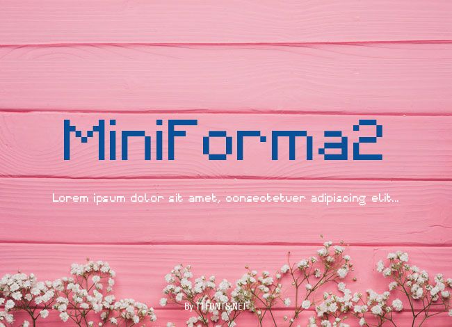 MiniForma2 example
