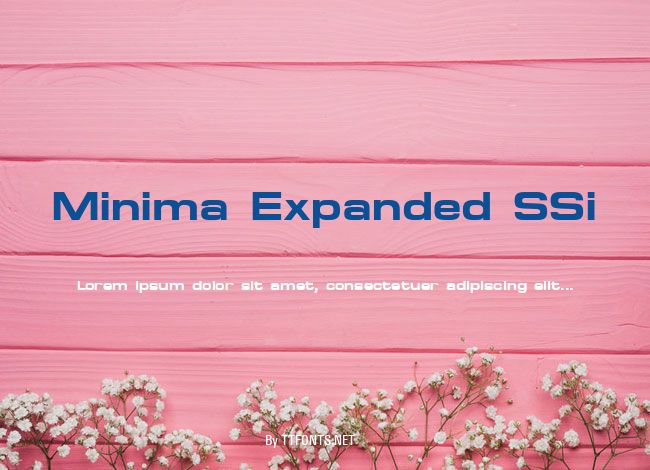 Minima Expanded SSi example