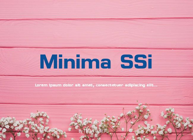 Minima SSi example