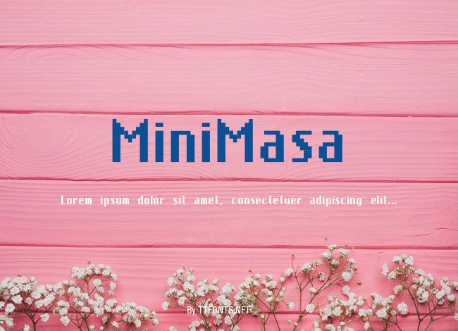 MiniMasa example