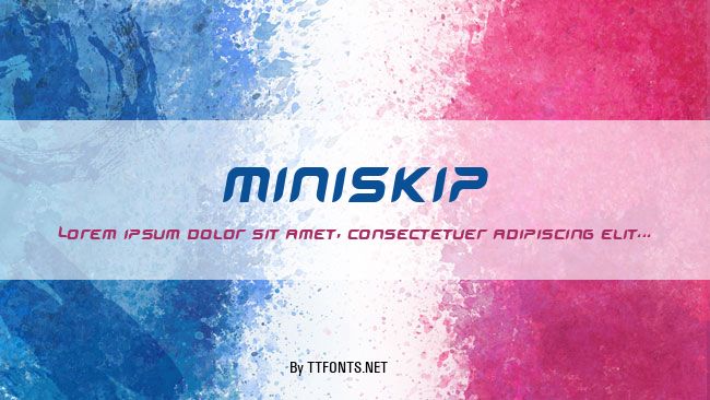 miniskip example