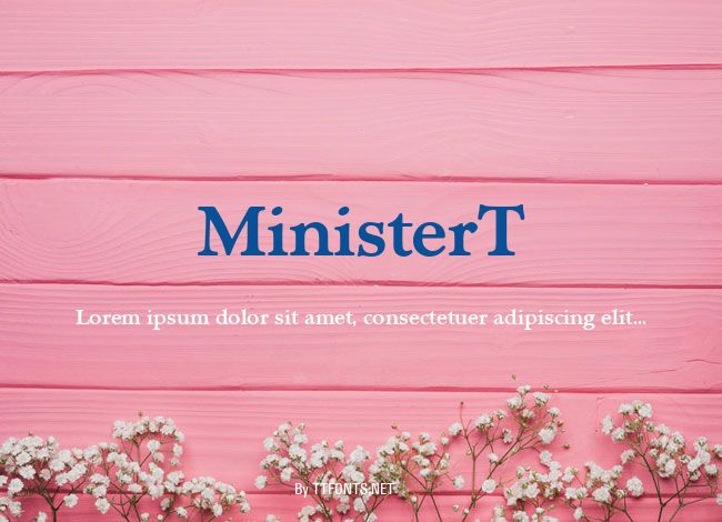 MinisterT example