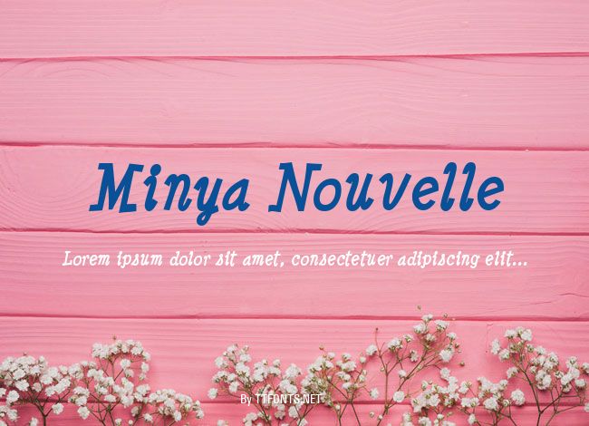 Minya Nouvelle example