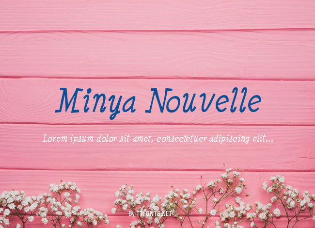 Minya Nouvelle example