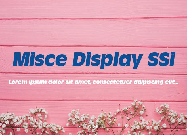 Misce Display SSi example