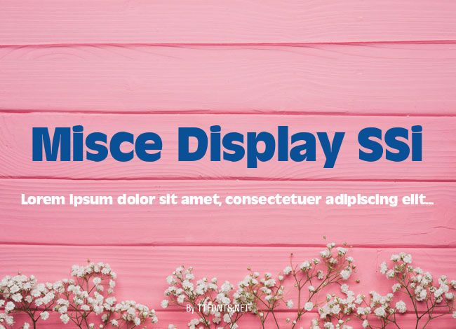 Misce Display SSi example