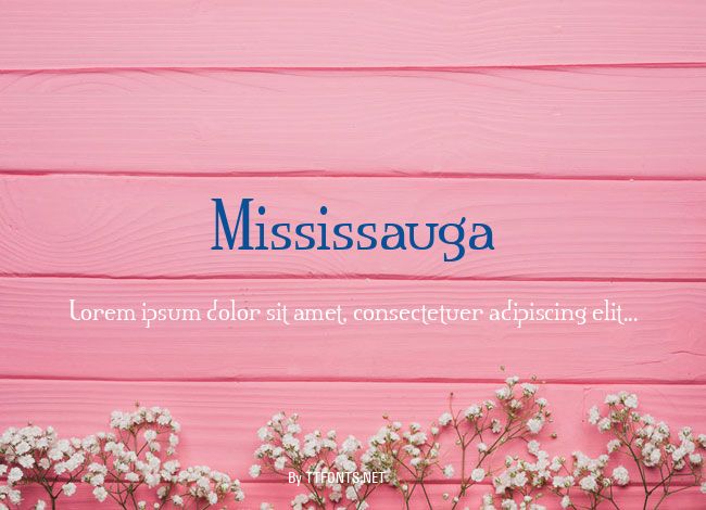 Mississauga example