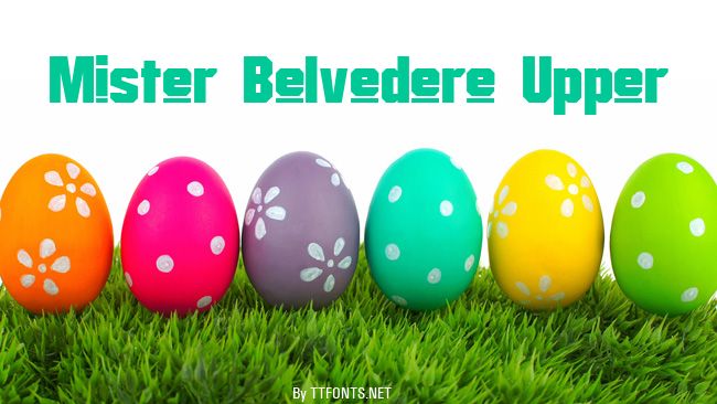 Mister Belvedere Upper example