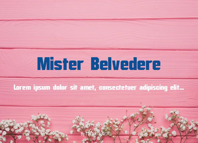 Mister Belvedere example