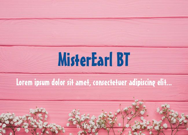 MisterEarl BT example