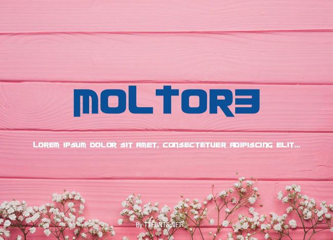 MOLTOR3 example