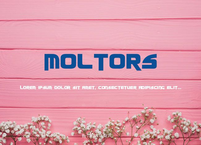 Moltors example