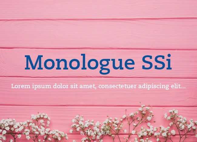 Monologue SSi example