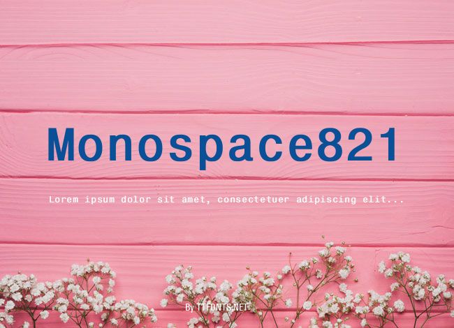 Monospace821 example