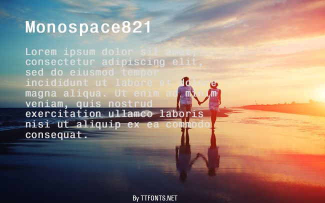 Monospace821 example