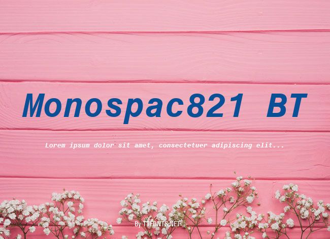 Monospac821 BT example