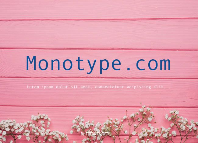 Monotype.com example