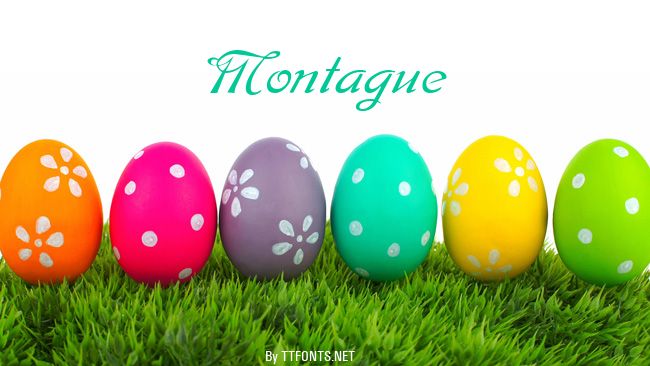 Montague example