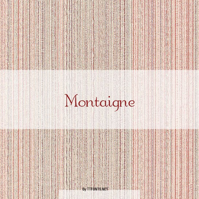 Montaigne example