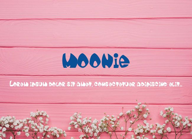moonie example