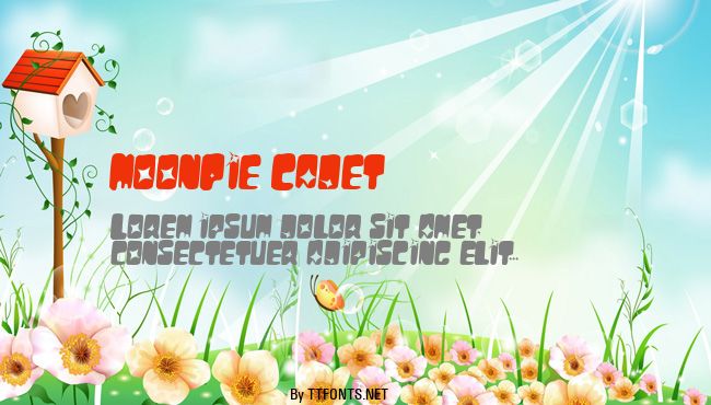 MoonPie Cadet example