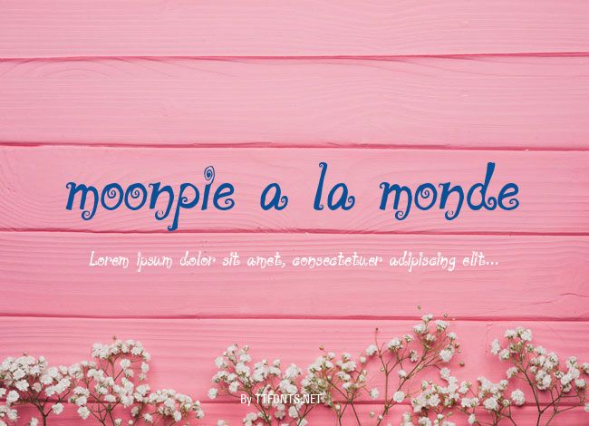 moonpie a la monde example