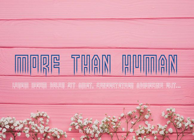 More than human example