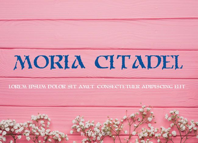 Moria Citadel example