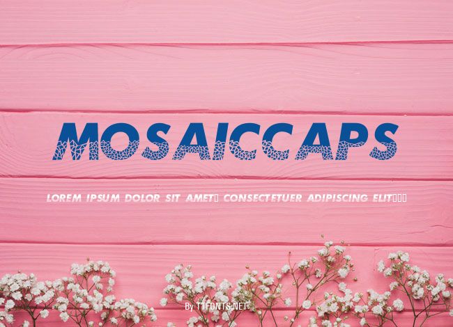 MosaicCaps example