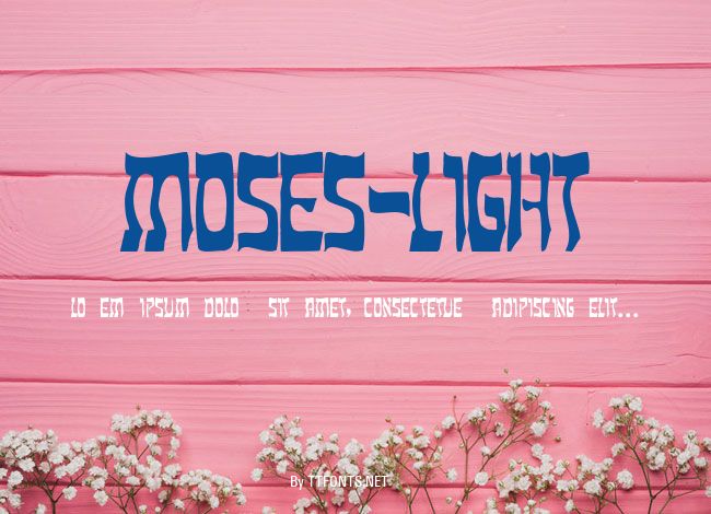 Moses-Light example