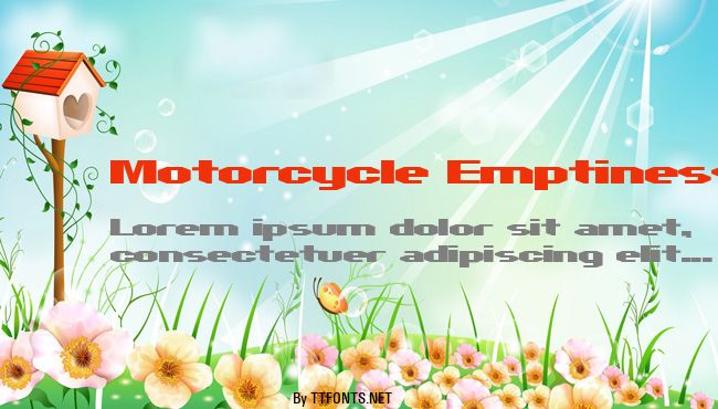 Motorcycle Emptiness example