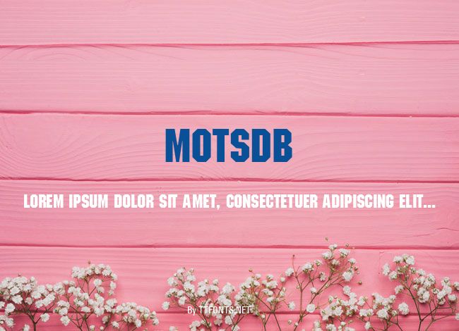 MotsDB example