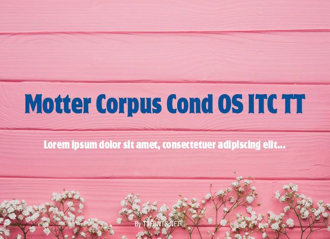 Motter Corpus Cond OS ITC TT example
