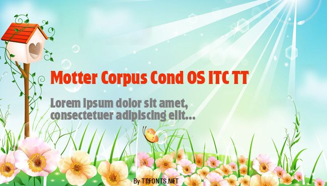 Motter Corpus Cond OS ITC TT example
