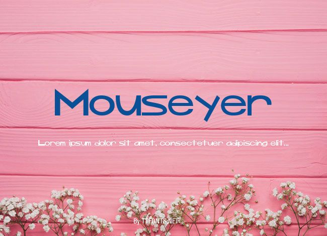 Mouseyer example