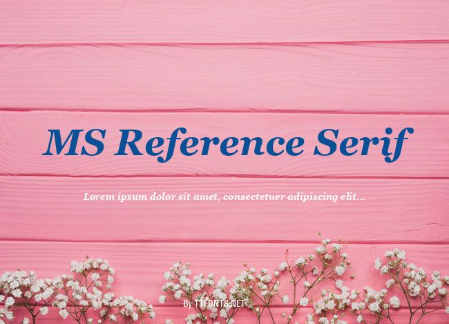 MS Reference Serif example